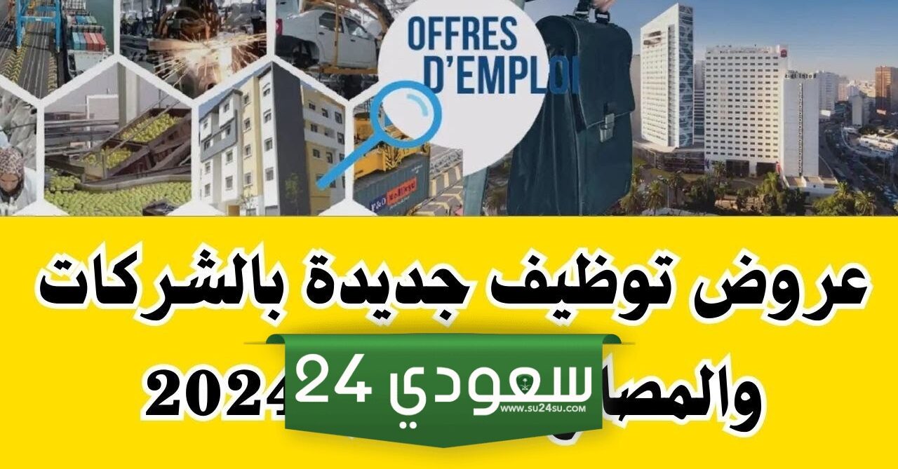 فرص عمل في المغرب 2024 ذهبية تنتظرك - ابدأ رحلتك المهنية الآن!