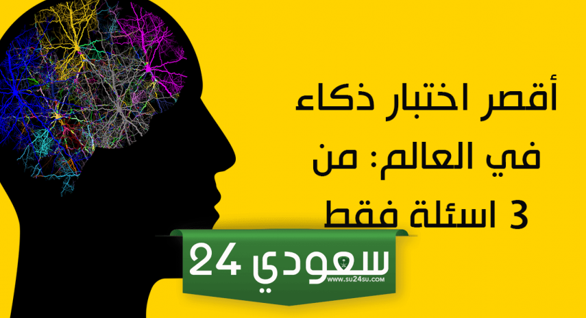 أسئلة اختبار ذكاء عامة.. ما هي أسئلة اختبار الذكاء؟