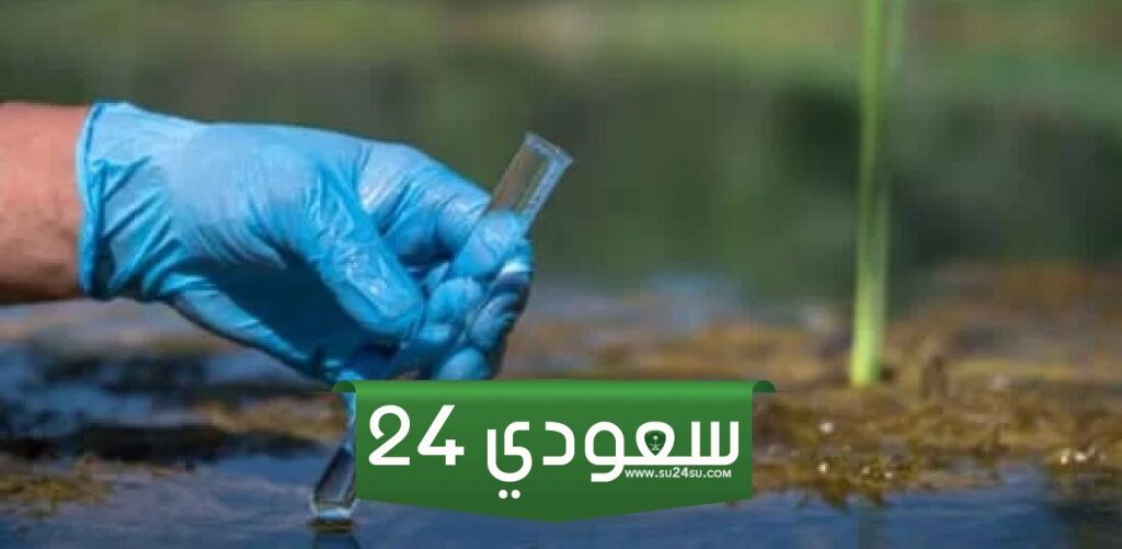 الحكومة توضح حقيقة انتشار الكوليرا في مصر