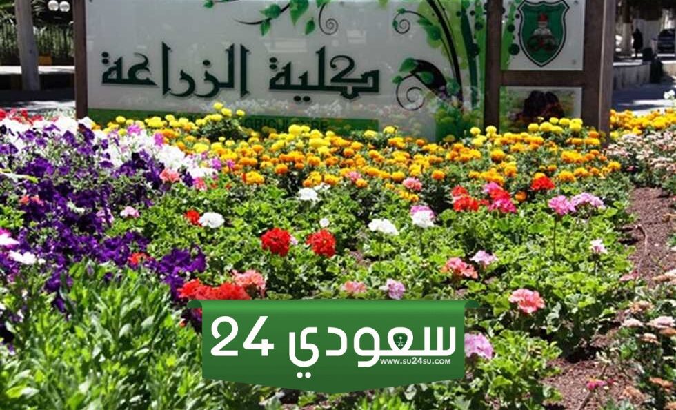 تنسيق كلية الزراعة مرحلة ثالثة 2024