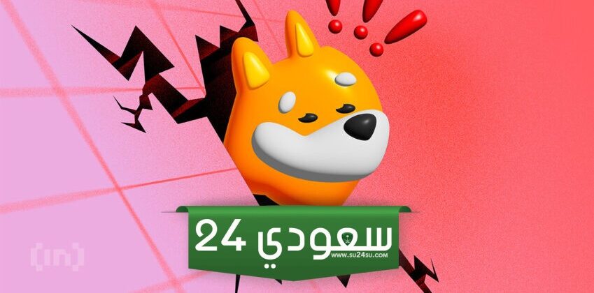 توقعات أسعار بونك.. انخفاض متوقع بعد انخفاض بنسبة 23%