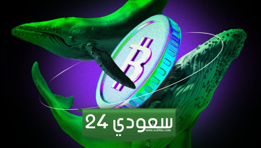 حيتان البيتكوين تحتفظ بممتلكاتها بينما تشير الإشارات الجديدة إلى أن دورة الصعود لم تنته بعد