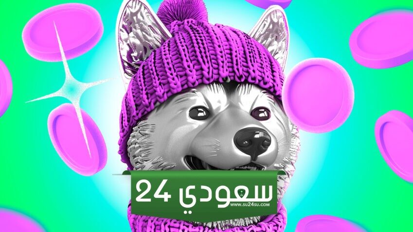دوجويفهات (WIF) تسعى لاستمرار الارتفاع بعد الذروة القصيرة الأمد