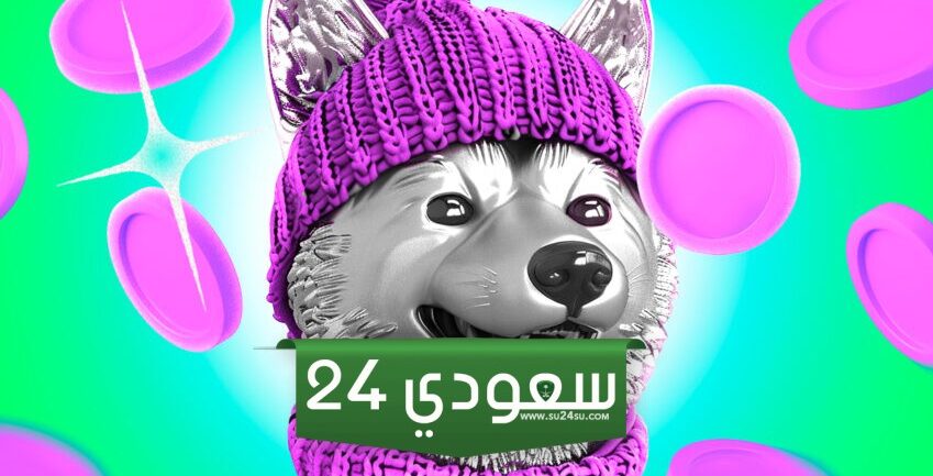 دوجويفهات (WIF) تشهد زيادة في التدفقات النقدية