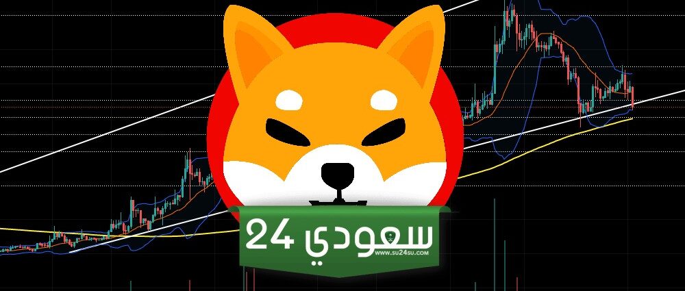 سعر شيبا إينو (SHIB) قد يمحو جزءًا من مكاسبه البالغة 13%