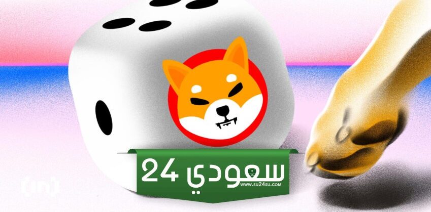شيبا إينو (SHIB) تستهدف 0.000018 دولار في محاولتها للخروج من الوتد الهابط