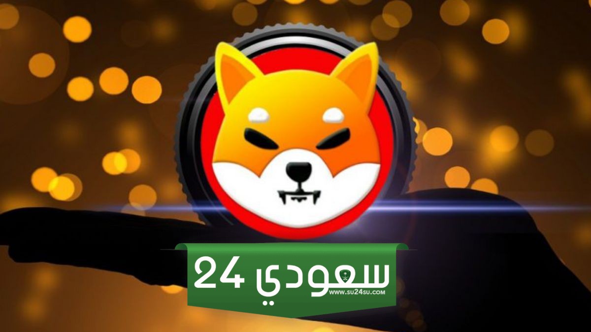 شيبا إينو جاهزة للتجميع على الرغم من انخفاض سعر SHIB