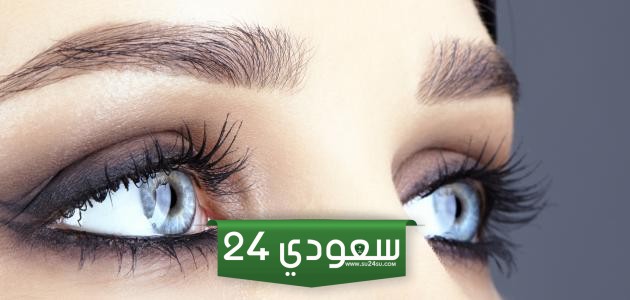 كم سعر كحل الاثمد الاصلي عند عبدالصمد القرشي 2025