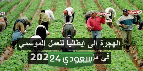 أفضل الطرق للبحث عن عمل في المزارع الإيطالية