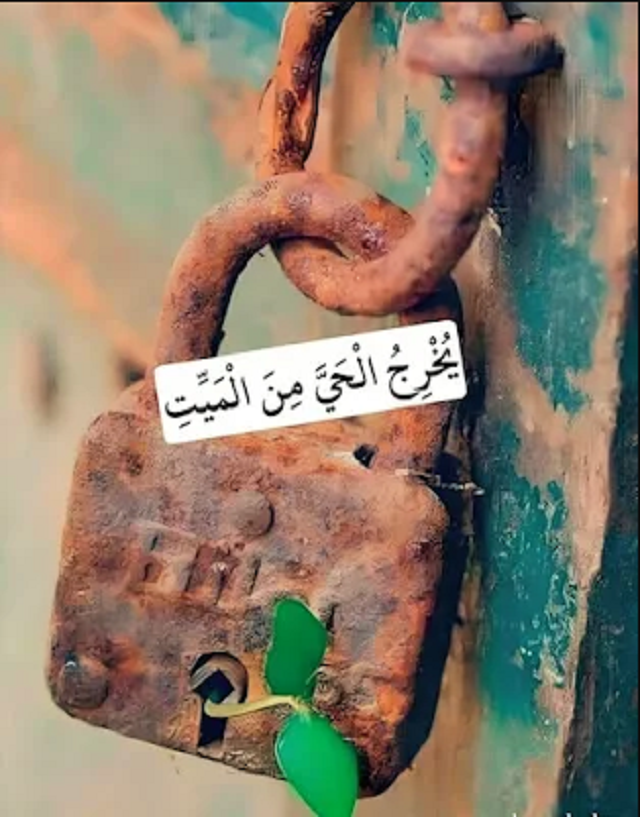 أجمل صور واتس اب للبنات