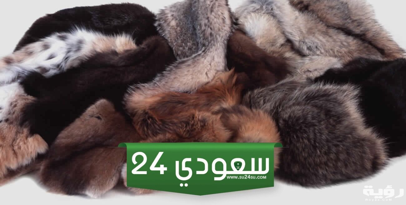 تفسير رؤية الفرو في الحلم لابن سيرين بالتفصيل