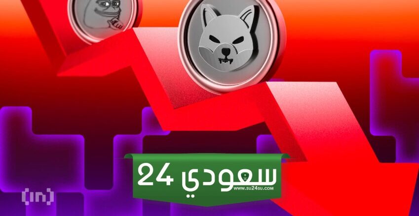 ثيران شيبا إينو (SHIB) تتراجع ممهدة الطريق لانخفاض بنسبة 23%