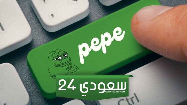عملة بيبي (PEPE) يصل إلى ذروة التقييم المفرط، ويعرض حامليه للخطر