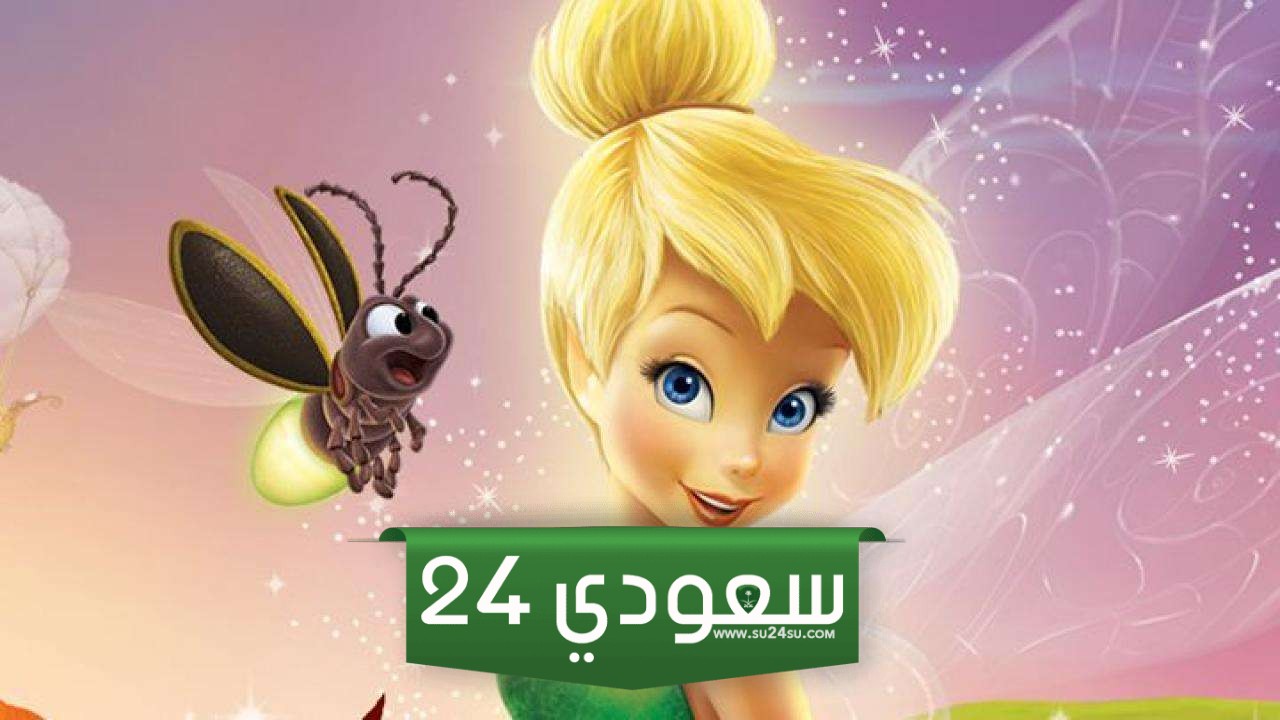 خطوات ضبط قناة تنك و رينا