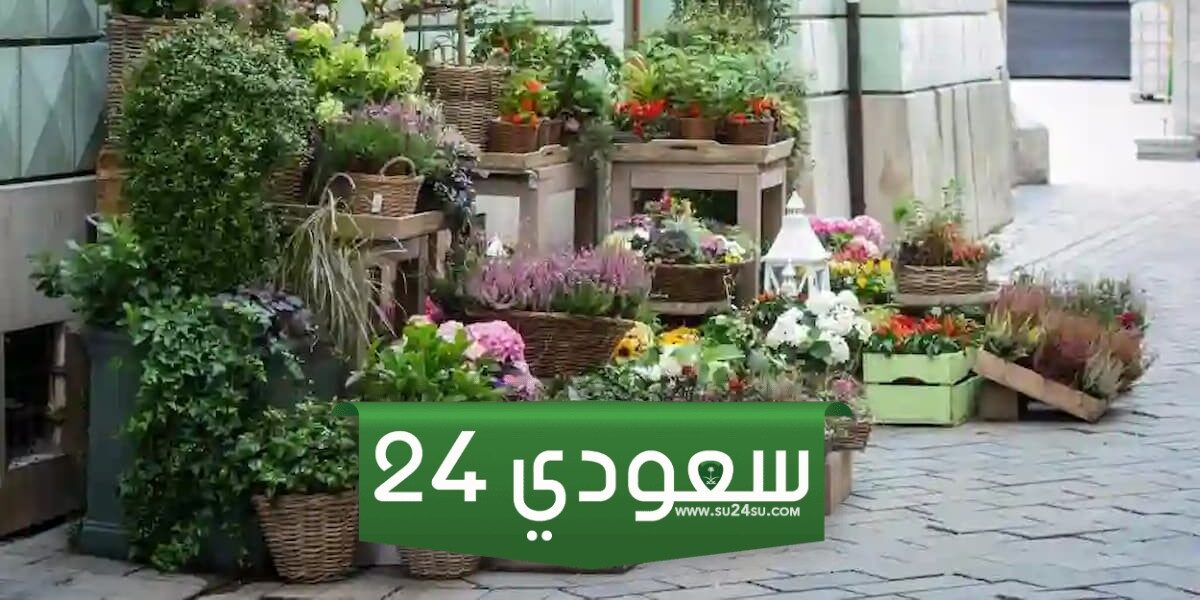 دراسة جدوى مشروع ورد متنقل
