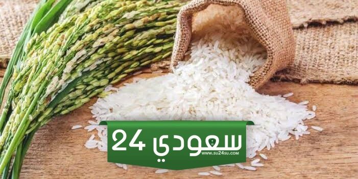 ارتفاع مفاجئ في أسعار الأرز! تعرف على سعر طن الأرز الشعير اليوم الخميس 26 سبتمبر 2024