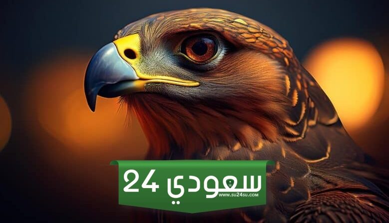 موعد معرض الصقور والصيد السعودي 2024