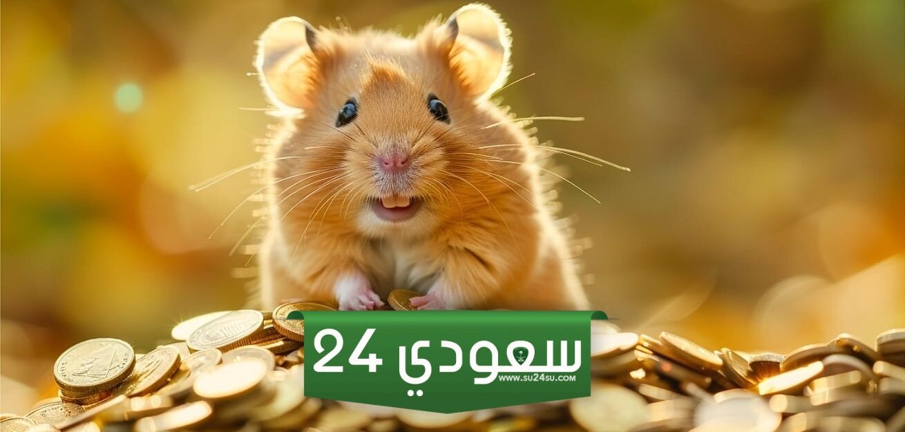 هذا هو السعر المتوقع لعملة هامستر كومبات (HMSTR) عند الإدراج