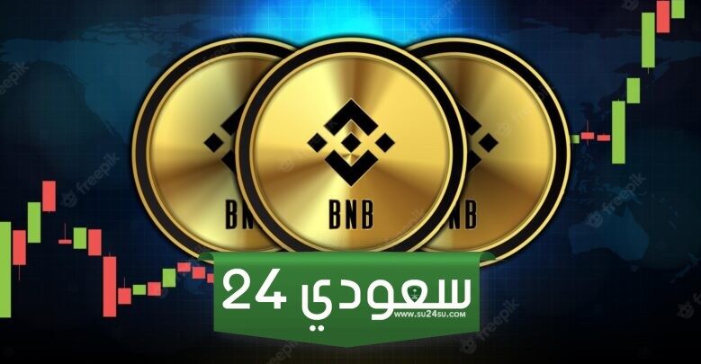 انخفاض سعر عملة BNB بنسبة 13% يمهد الطريق لتعافي محتمل وسط مشاعر إيجابية