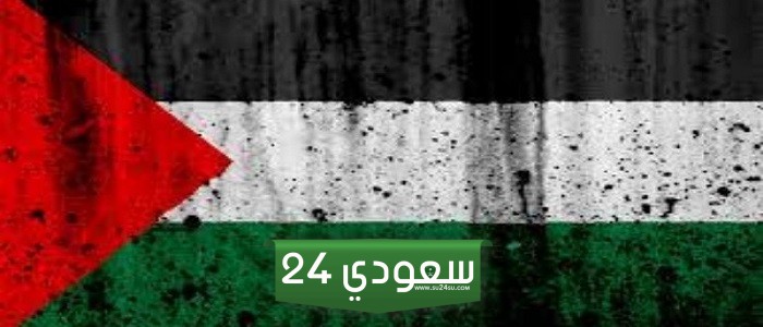 يهودية تتضامن مع غزة والفلسطينيين! سارة فريدلاند تطلق تصريحات نارية في مهرجان البندقية