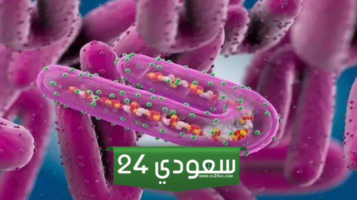 فيروس ماربورغ الجديد