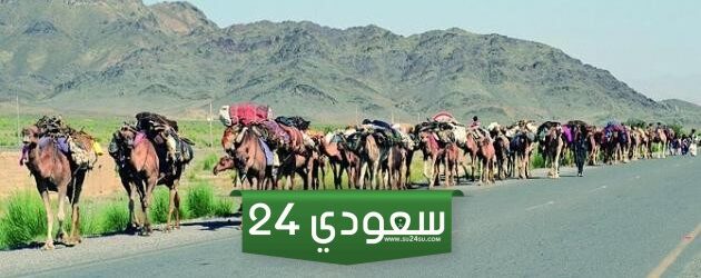 الكناني وش يرجع وما اصل عائلة الكناني ؟