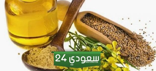 تجربتي مع زيت الخردل للشعر وفعاليته