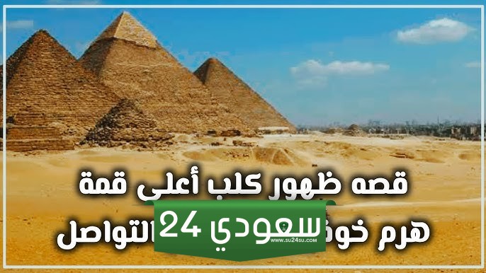 تفاصيل ظهور كلب أعلى قمة هرم خوفو