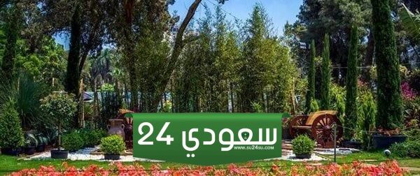 حقيقة قطع الأشجار النادرة بـ حديقة الأورمان