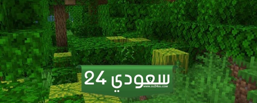دليل المناطق الأحيائية الدافئة