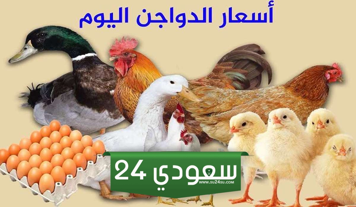 سعر الفراخ البيضاء اليوم الجمعة
