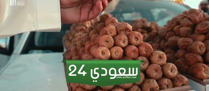 فعاليات مهرجان تمور بريدة 1446 كاملة