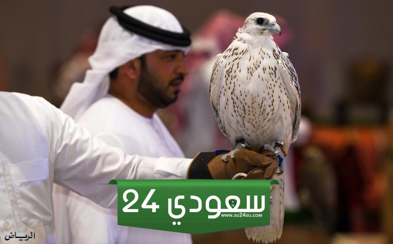 فعاليات معرض الصقور والصيد السعودي الدولي تهدف لإبراز التراث وتعزيز السياحة