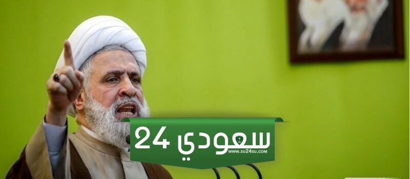 من هو نعيم قاسم