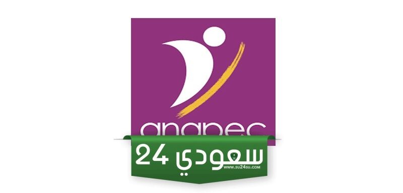 أهمية عروض أنابيك للعمل | أهم مجالات العمل في مختلف الدول