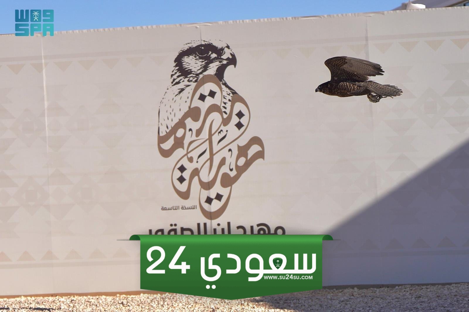 مهرجان الصقور طريف