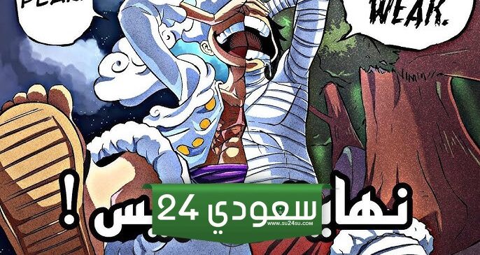 حقيقة توقف انمي مانجا ون بيس تويتر لفترة طويلة 2024
