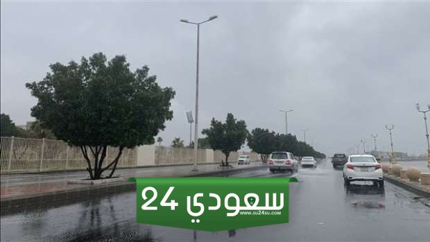 اضطرابات جوية ورعد تحذير من حالة الطقس