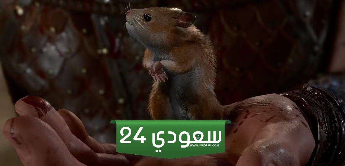 أفضل بناء لشخصية Minsc في Baldur's Gate 3 - الجزء الثاني والاخير
