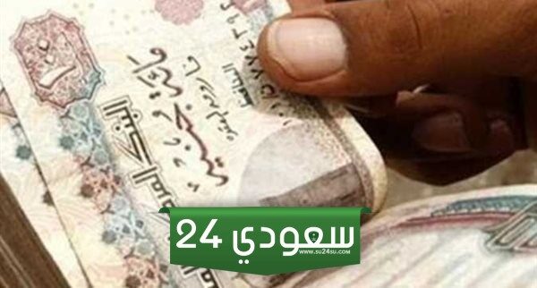 تفاصيل تطبيق نظام المعاش المبكر لمواليد الثمانينيات اعتبارا من يناير 2025