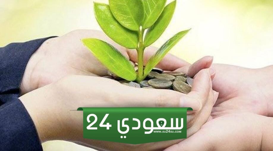 لكل من يبحث عن عمل | دليل وظائف المؤسسة العامة للتكافل الاجتماعي وطريقة التقديم خطوة بخطوة