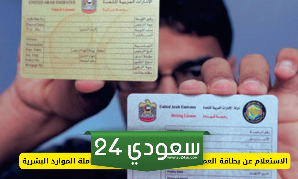 الاستعلام عن حالة بطاقة العمل الإمارات