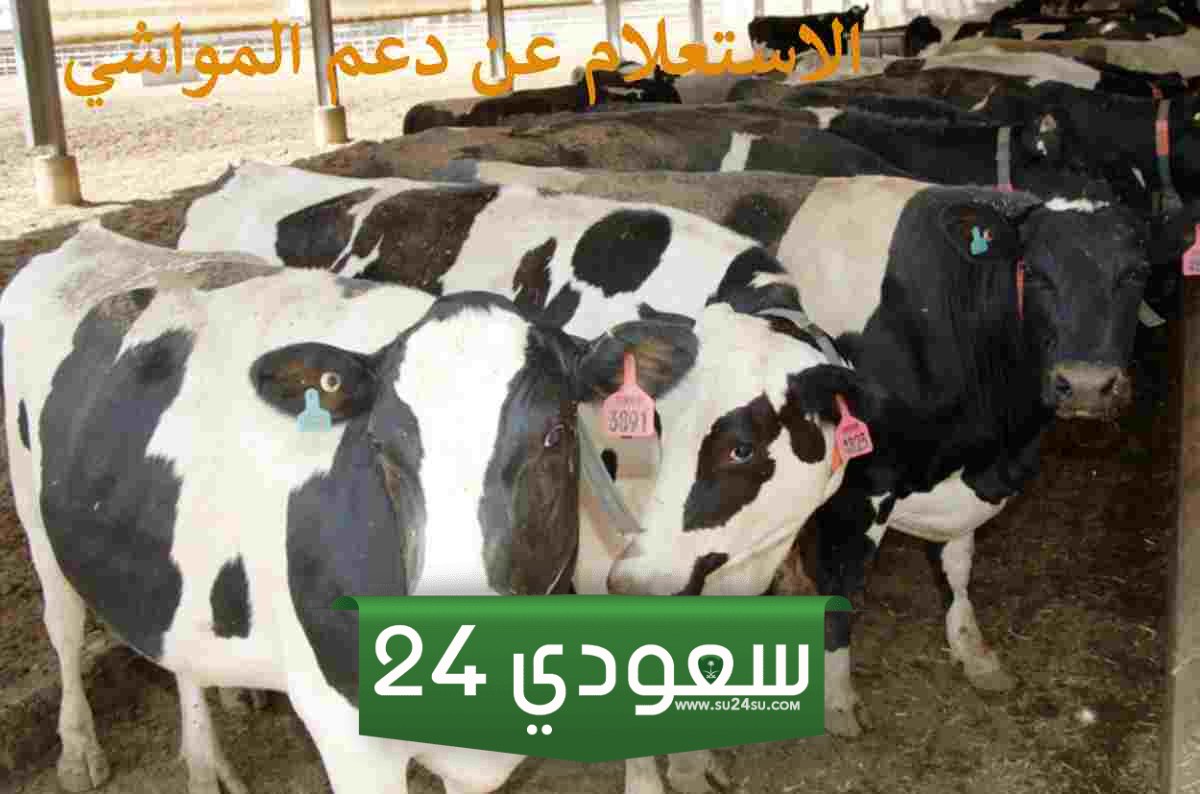 الاستعلام عن دعم المواشي والتحقق من بيانات الاستحقاق