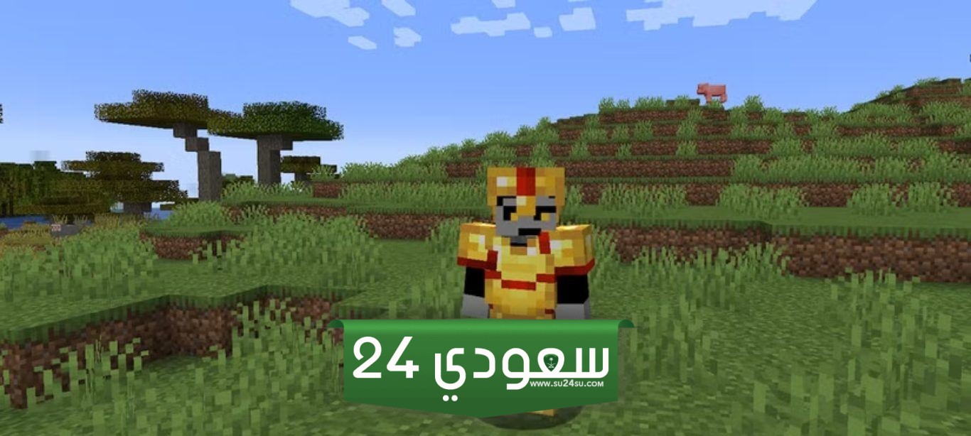 العناصر الأكثر فائدة فيminecraft2،