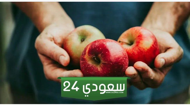 تفسير حلم ظهور التفاح في المنام للمتزوجة
