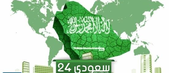 كم يبلغ متوسط دخل الفرد في السعودية لعام 2025 / 1446