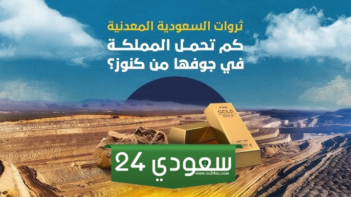 كيف حصلت السعودية على ثرواتها