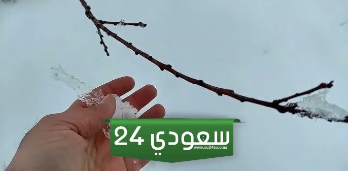 على الرغم من ذلك الثلج | الشتاء في المملكة لم يبدأ بعد وموعده بعد 3 أيام!!